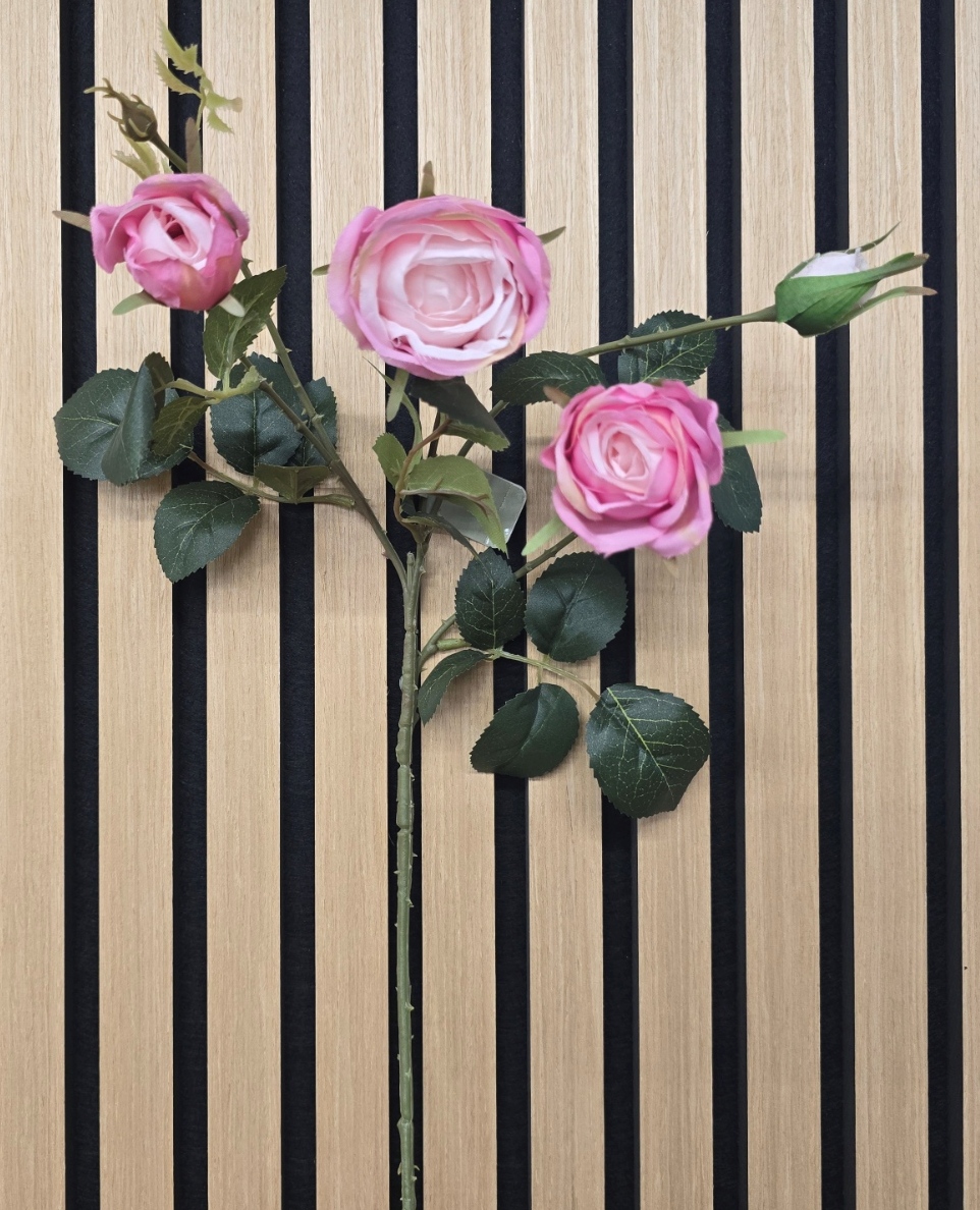 English Cabbage Rose 61cm Mauve