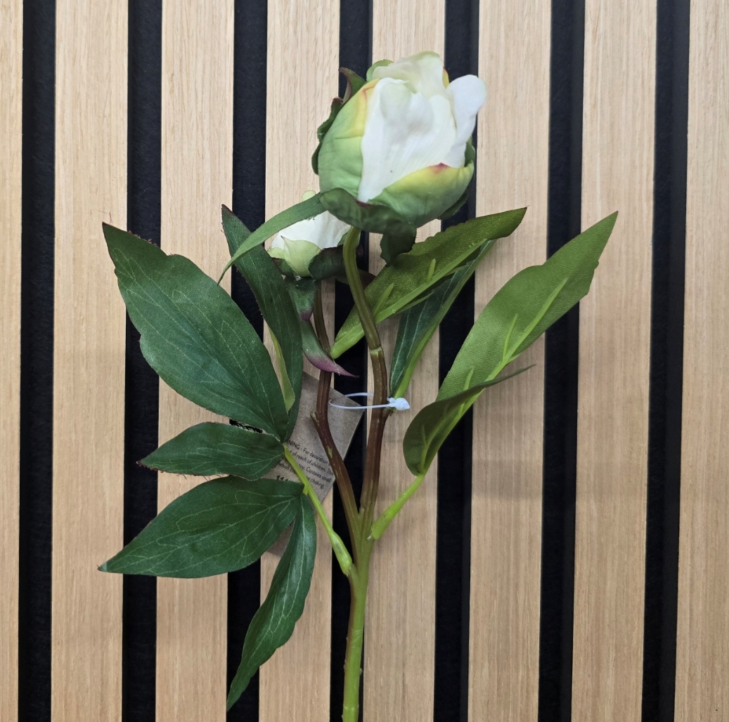 Artificial ECO Peony Bud 48cm White