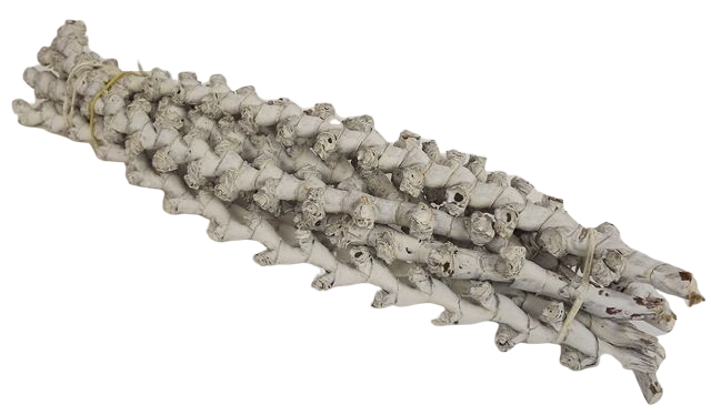 Bundle Buriti Twig 40cm Misty White x 7 Stems-0