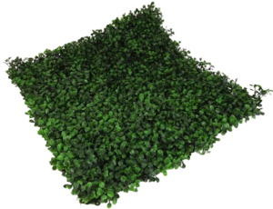Boxwood Mat 50 x 50cm Weather Resistant-0