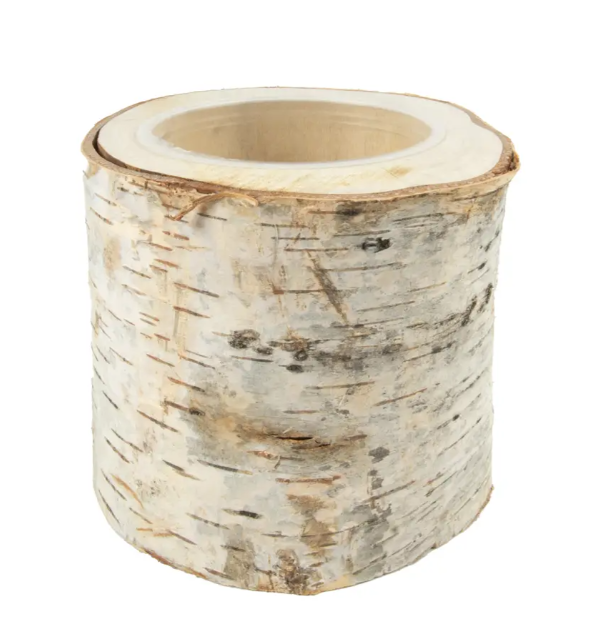 Dried Pot Birch H16cm/ dia 15-17cm Natural