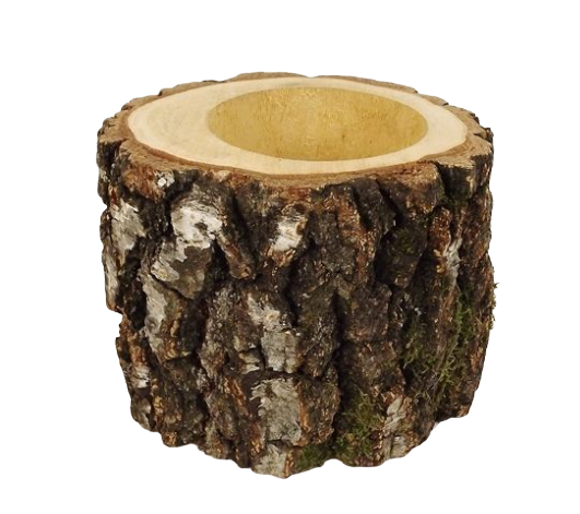 Pot Birch H16cm/ dia 15-17cm Natural-0