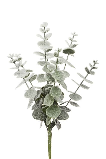 Snowy Spiral Eucalyptus Pick 30cm-0