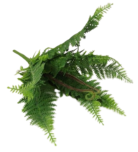 Plastic Boston Fern Bush H - 40cm-0