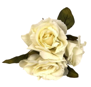 24cm Open Rose Posy x 3 Heads Cream-0