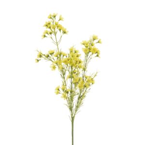 Wintersweet Spray 67cm Yellow-0