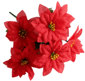 Poinsettia Bush Red 30cm x 7 Heads