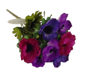 Anemone Bush Purple/Cerise/Plum-0