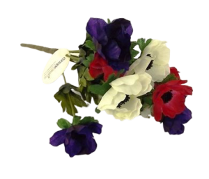 Anemone Bush Purple/Red/White-0