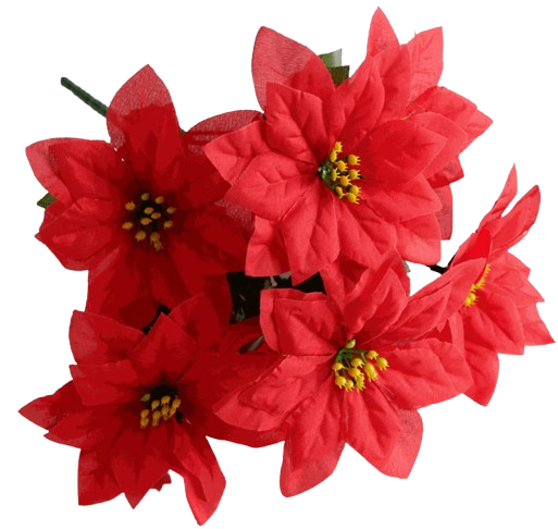 Poinsettia Bush Red 30cm x 7 Heads