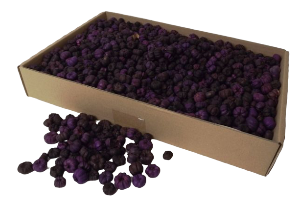 Putka Pods Aubergine-0