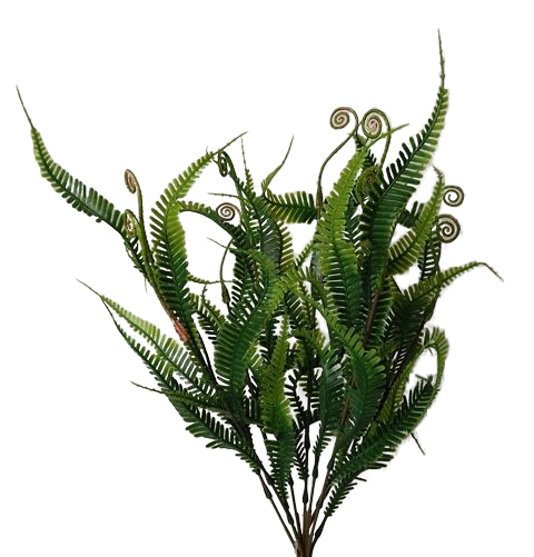 48cm Fern Bush-0