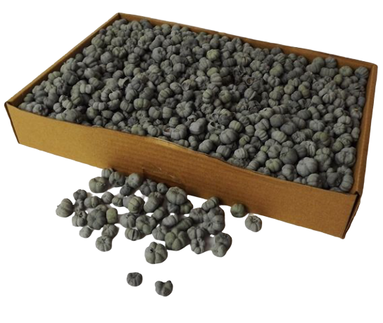 Putka Pods Misty Grey-0