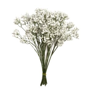 48cm Gypsophila x 12 Stems-0