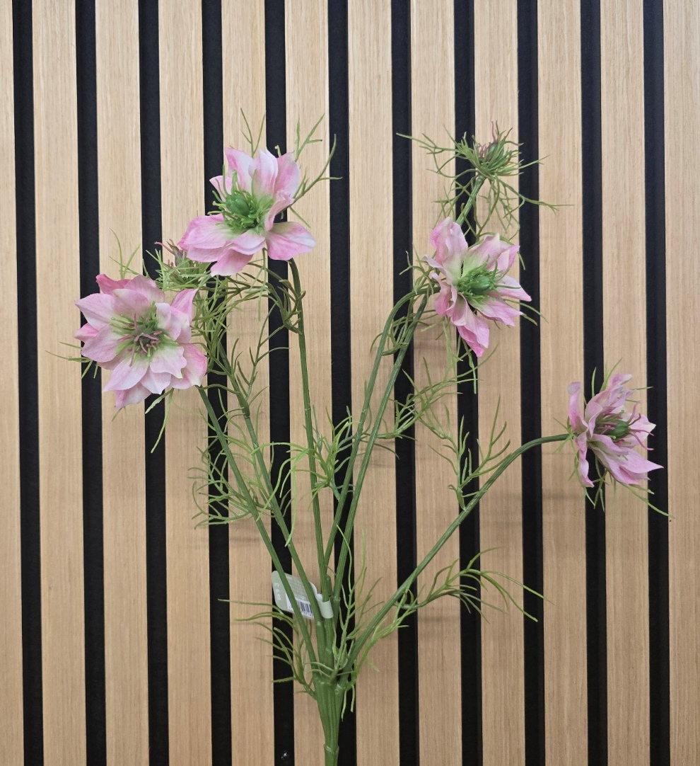 Nigella Love in the Mist -65cm Pink
