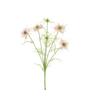Nigella Love in the Mist -65cm Pink-0