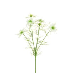 ECO Nigella Love in the Mist -65cm White