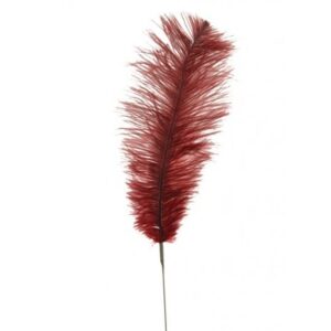 Feather Quill 76cm Ruby-0