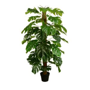 Split Philo Tree w/Pot 150cm-0