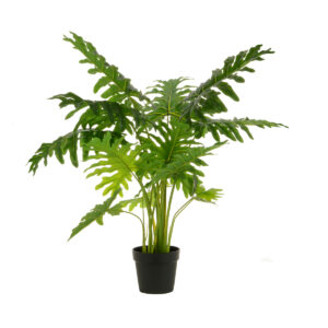 Happy Philo Plant 110cm-0