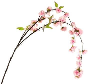 Large Cherry Blossom Spray 95cm Light Pink-0