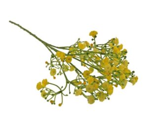 47cm Million Star Gyp Spray Yellow-0