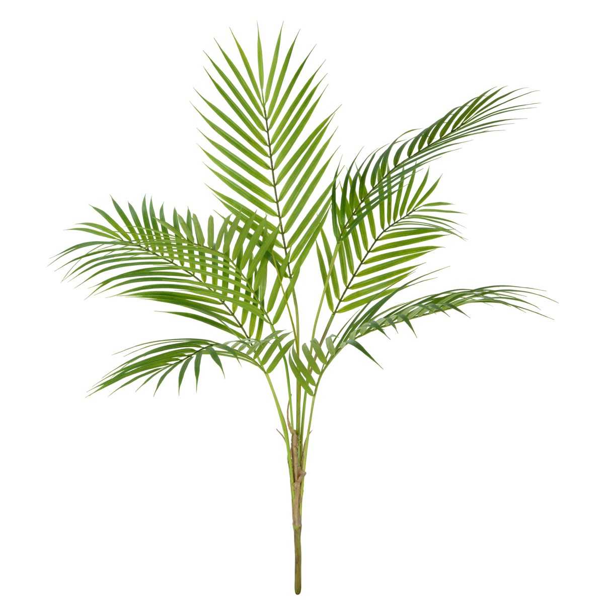 Areca Palm Bush x 7 89cm-0