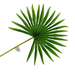 Real Touch Fan Palm Leaf Green 50cm-0