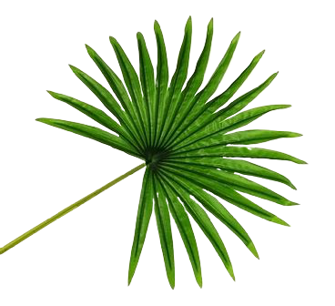 Real Touch Fan Palm Leaf Green 82cm-0