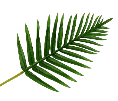Real Touch Fern Palm Leaf Green 65cm-0
