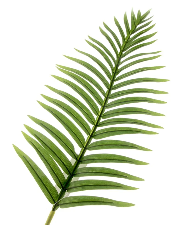 Real Touch Fern Palm Leaf Green 108cm-0