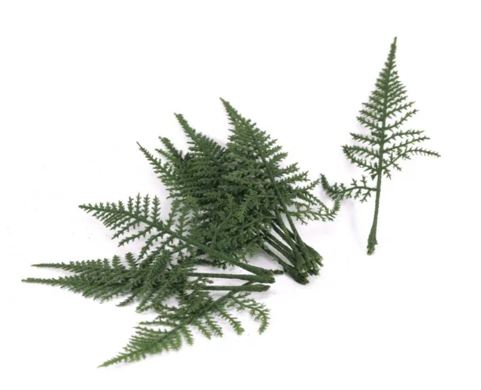 Fern Leaves App 18cm Pack Of 12-0