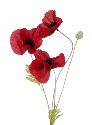 Poppy Spray x 3 Heads Red-0