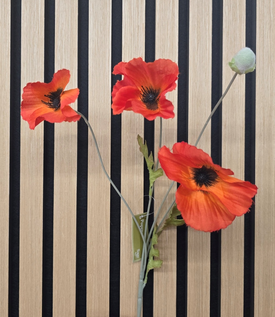 Poppy Spray x 3 Heads Orange