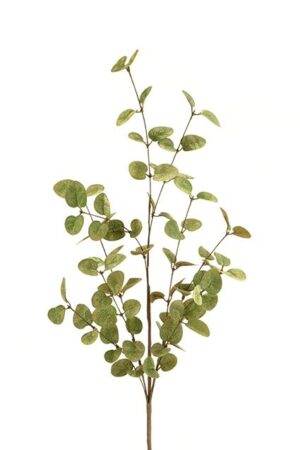 Eucalyptus Spray 85cm Green/Gold-0