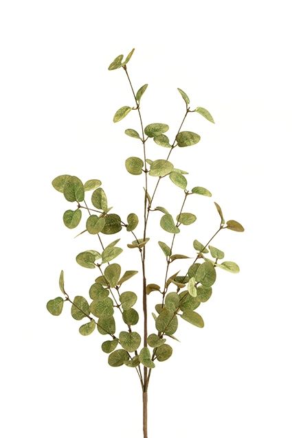 Eucalyptus Spray 85cm Green/Gold-0