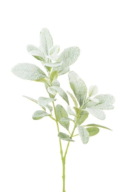 Snowstorm Lambs Ear Spray 71cm-0