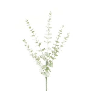 Snowstorm Eucalyptus 72cm-0