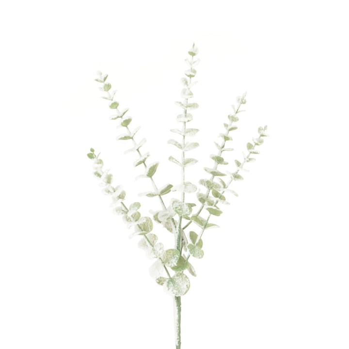 Snowstorm Eucalyptus 72cm-0