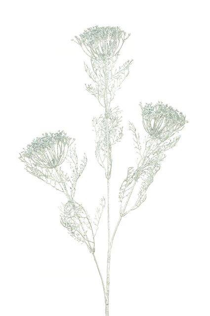 Glittered Dill Spray 71cm Silver-0