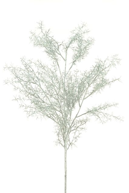 Sparkle Springeri 100cm Silver-0