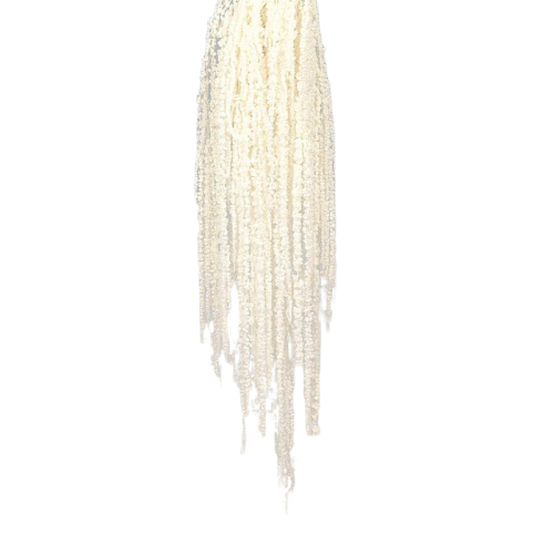 Preserved Amaranthus Caudatus - White-0