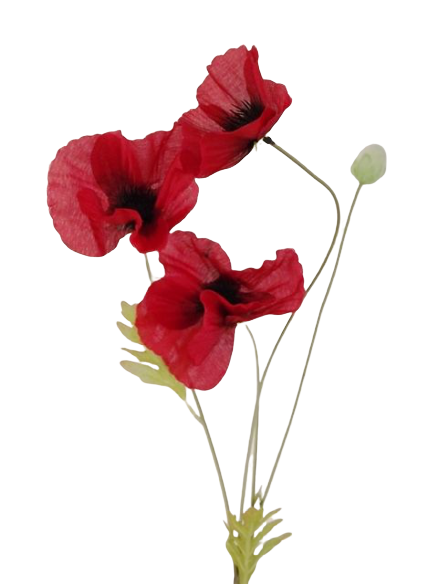 Poppy Spray x 3 Heads Red-0