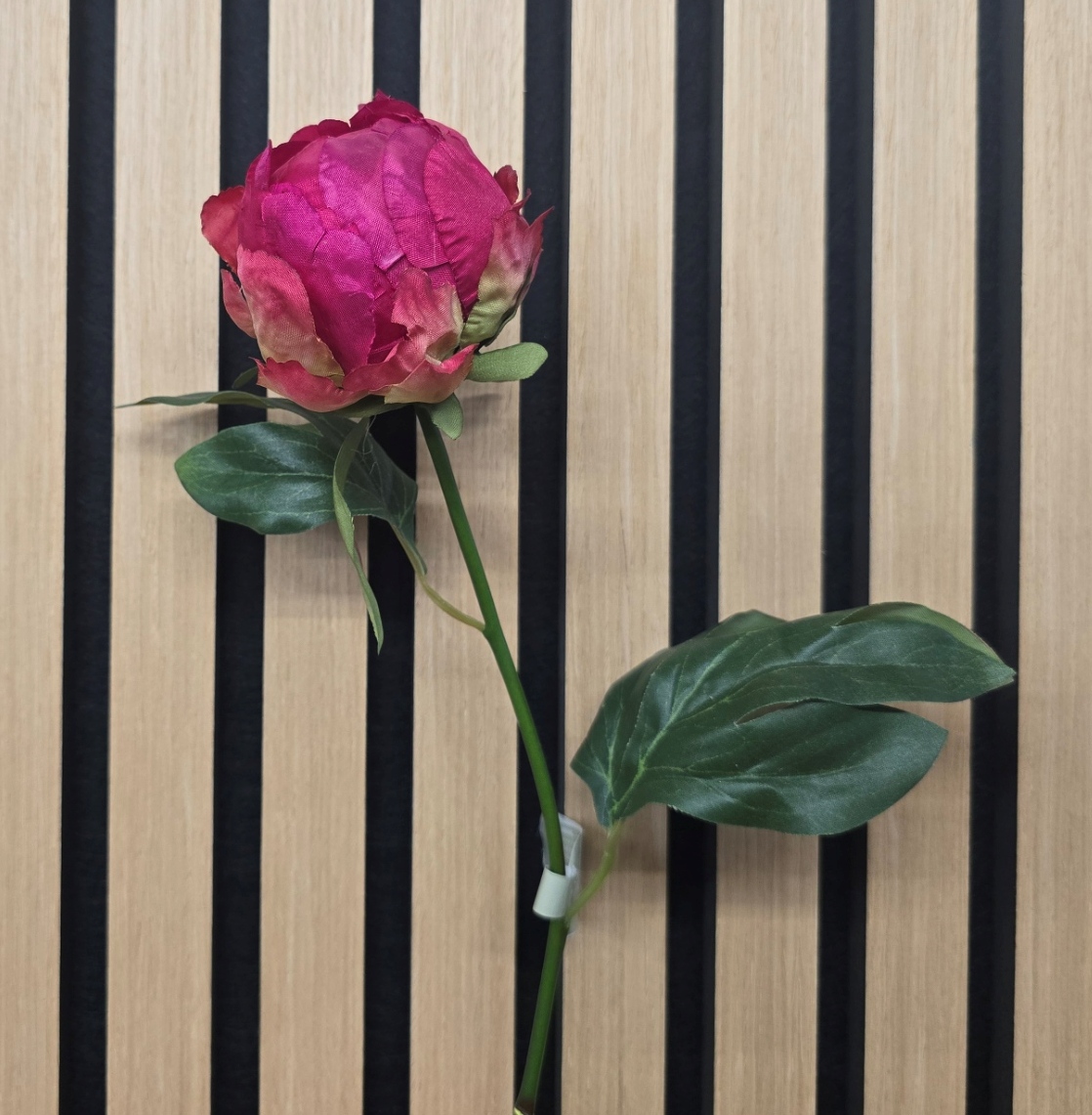Hybrid Peony Bud 45cm Beauty