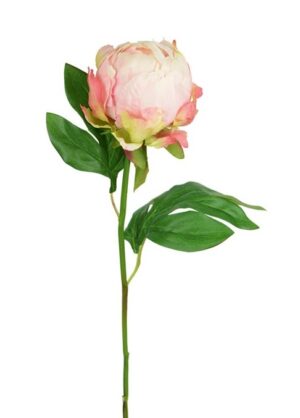 Hybrid Peony Bud 45cm Pink-0