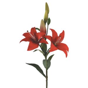 Tiger Lily Double Headed 86cm Red-0
