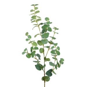 Eucalyptus Spray-102cm Green-0