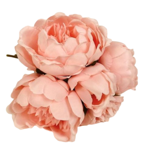 28cm Light Coral Peony Posy-0
