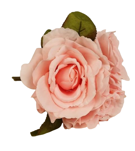 24cm Light Coral Open Rose Posy-0