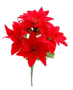 Velvet Poinsettia Bush x 7 Heads Red-0